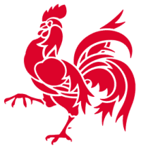Partner logo of Walloon
Region